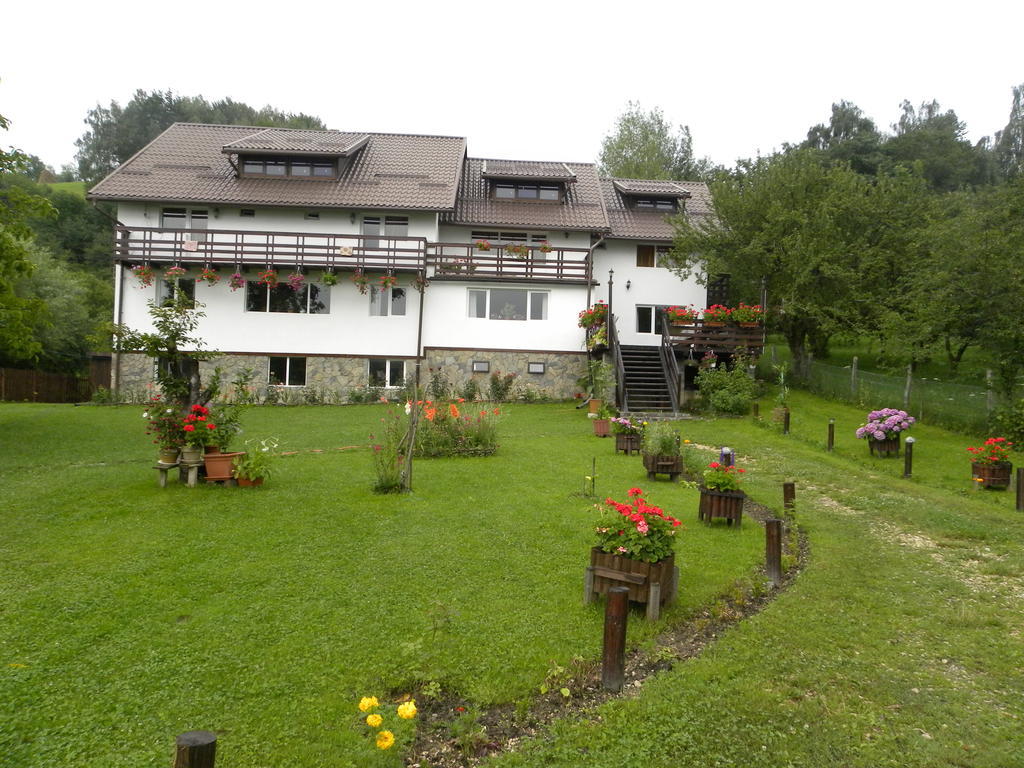Pensiunea Cerbul Carpatin Bran  Exterior photo