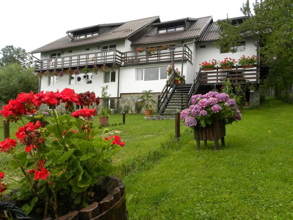 Pensiunea Cerbul Carpatin Bran  Exterior photo